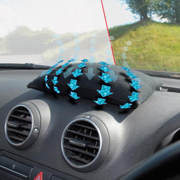 Image of Eco Car Dehumidifier