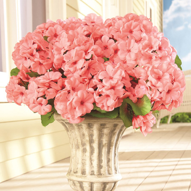 Easylife Faux Geraniums in Pink, Size Pack Of 3