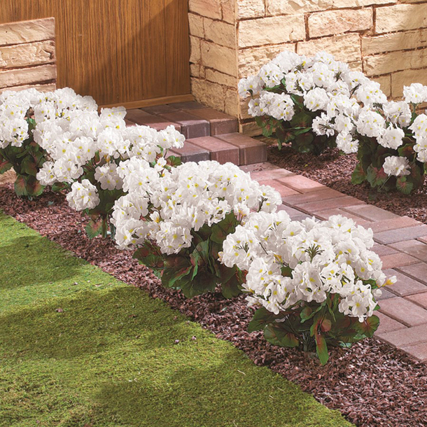 Easylife Faux Geraniums in White, Size Pack Of 3